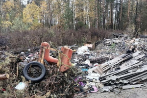 В Селивановском районе нашли 5 стихийных свалок