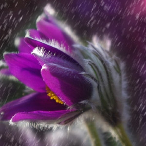 Во Владимирской области погода резко изменится с 15 марта