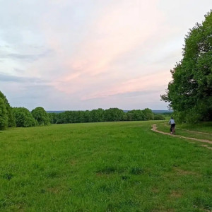 Во Владимире запустили опрос по благоустройству лугопарка «Дружба»