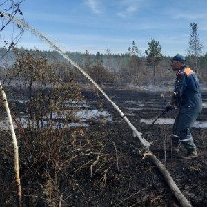 Торфяной пожар во Владимирской области потушили спустя 4 дня