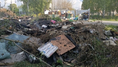 В Судогодском районе территорию у сельской школы завалили мусором