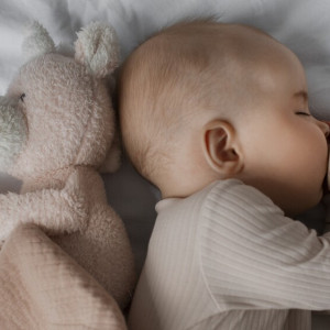 Во Владимирской области родились Ефим и Ивета