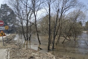 Во Владимирской области затопило 337 дворов и 8 участков дорог