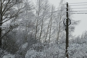 Во Владимирской области из-за непогоды свет пропал в 6 районах