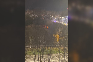 Жители Владимира развели огромный костер в парке «Добросельский»