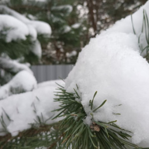 Прогноз погоды во Владимире и области на 25 ноября
