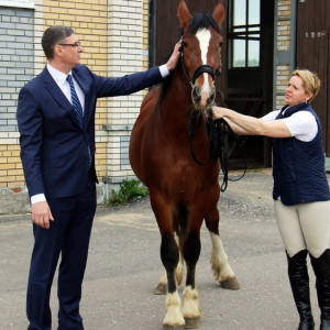 Стало известно, зачем владимирский губернатор подарил коня президенту Беларуси