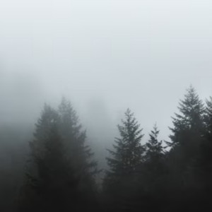 Народные приметы на 28 января 2024 года: что можно и нельзя делать в Павлов день