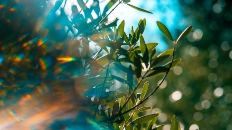 Синоптики рассказали о возвращении апрельского тепла во Владимирскую область