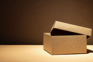 В Коврове 73-летняя женщина отдала полмиллиона аферистам в коробке из-под обуви