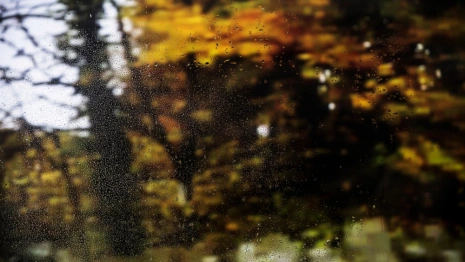 Прогноз погоды во Владимирской области на 13 ноября