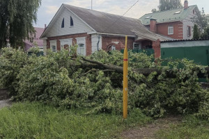 Мощный ураган и ливень с грозой прошелся по северо-западу Владимирской области