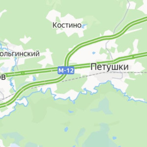 Владимирский губернатор объяснил разделение Петушинского района