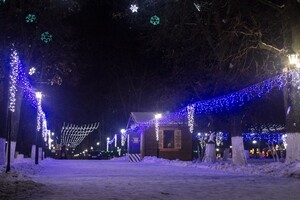 Мэрия выбрала формат новогодних гуляний во Владимире