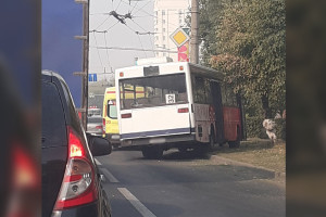 Во Владимире автобус вылетел с дороги и едва не врезался в столб