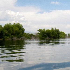 Во Владимирской области за последнюю неделю июля утонули 3 человека
