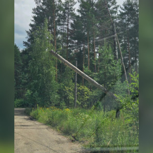 На турбазе «Ладога» во Владимире упал электрический столб