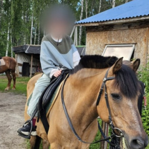 Владелицу конного центра в Киржачском районе будут судить за падение ребенка с лошади