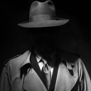 Депутат из Владимирской области заподозрил коллег в слежке