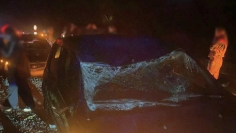 В Собинском районе пассажирка легковушки пострадала после столкновения с лосем