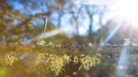 Прогноз погоды во Владимире и области на 3 мая 2024 года