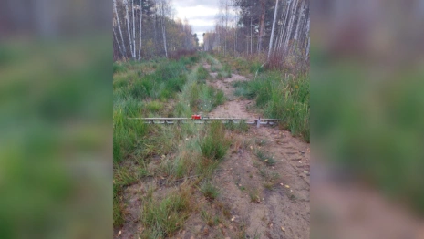 В Собинке дорога на одной из улиц превратилась в грязевое месиво