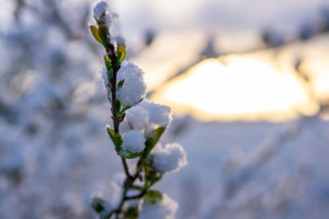 Народные приметы на 2 февраля: что можно и нельзя делать в Ефимов день
