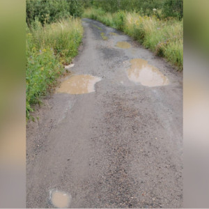 Жители деревни под Александровом потратили миллион рублей на заплатки ям