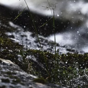 Во Владимирской области спрогнозировали мокрый снег 21 декабря