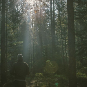 Во Владимирской области за месяц пропали 18 детей