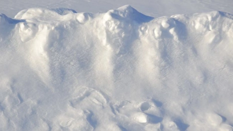 За сутки во Владимирской области выпали рекордные 21 мм снега