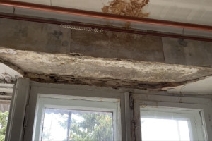 Прокуроры вызвали «на ковер» главу владимирской ЖКХ из-за дома с грибами на потолке