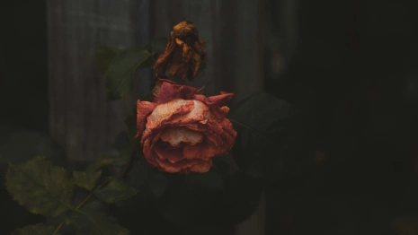 Во Владимире 16-летнего парня нашли повешенным