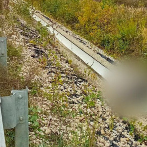 Во Владимирской области по пути из Орехово-Зуево задушили женщину