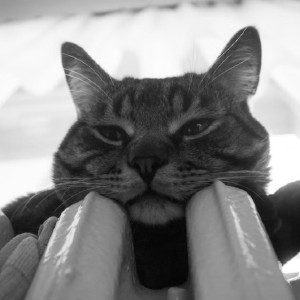 Мэрия высказалась о включении отопления во Владимире