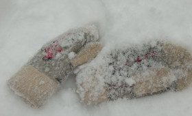 Прогноз погоды во Владимирской области на 5 марта 2026 года