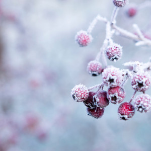 Тимофеев день: что можно и нельзя делать 4 февраля