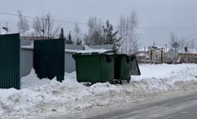 Во Владимире из-за снегопадов случился мусорный коллапс