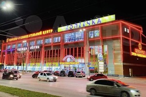 Во Владимире на продажу за 455 млн рублей выставили ТЦ «Копеечка»