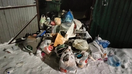 Владимирцы продолжают жаловаться на заваленные мусором дворы