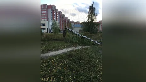 Последствия разрушительного урагана во Владимирской области показали на фото и видео