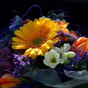 Родителям владимирских школьников рассказали, как выбрать букет на 1 сентября