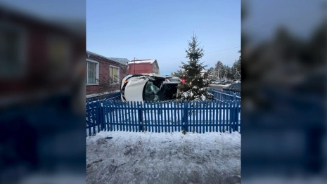 Иномарка влетела в приют «Атлант» под Владимиром