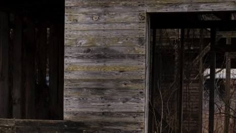 Жительница села под Юрьев-Польским обнаружила труп 48-летнего мужчины в сарае