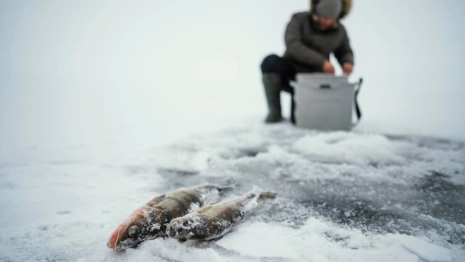 Народные приметы на 10 марта: что можно и нельзя делать в день Порфирия Позднего