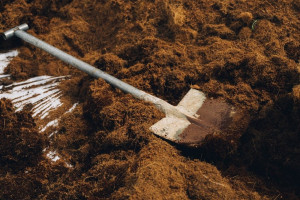 Во Владимирской области раскрыли убийство 15-летней давности