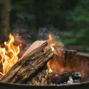Во Владимирской области отменили противопожарный режим спустя 4 месяца