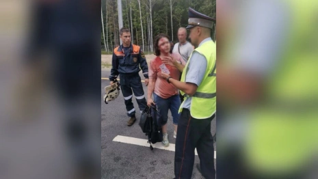 Во Владимирской области в аварии на М-12 пострадали двое взрослых и ребенок
