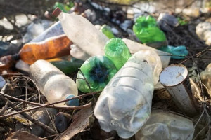 Во Владимирской области потребовали закрыть переполненный мусорный полигон