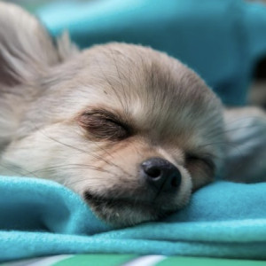 Жители Владимирской области пожаловались на хроническую усталость